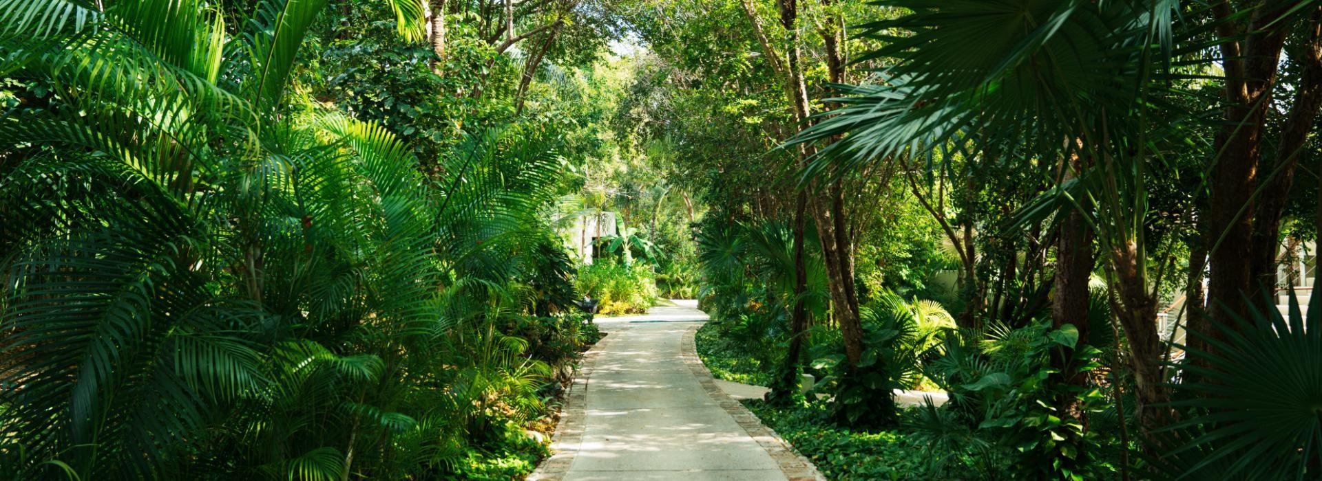Entorno Blue Diamond Luxury Boutique Hotel Riviera Maya Entorno Blue Diamond Luxury Boutique Hotel Riviera Maya
