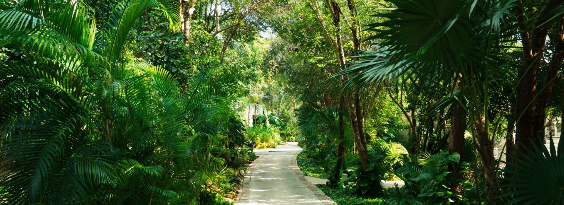 La ceiba  Blue Diamond Luxury Boutique Hotel Riviera Maya