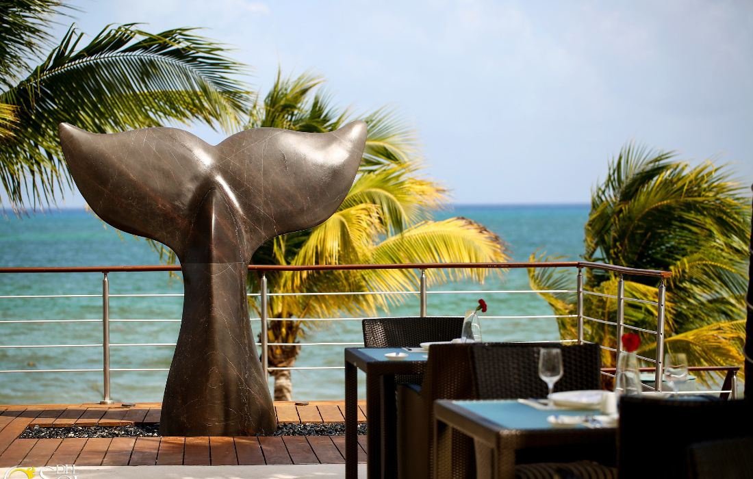 Obras de arte Blue Diamond Luxury Boutique Hotel Riviera Maya Obras de arte Blue Diamond Luxury Boutique Hotel Riviera Maya