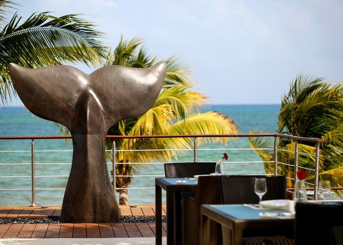 Obras de arte  Blue Diamond Luxury Boutique Hotel Riviera Maya