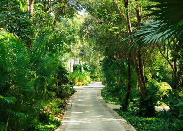 Entorno  Blue Diamond Luxury Boutique Hotel Riviera Maya